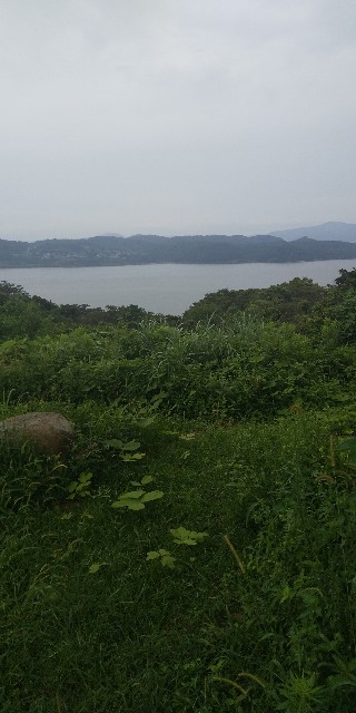 f:id:Asitis:20210911200534j:image
