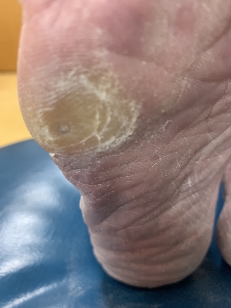 f:id:Assagioli:20190121191623j:plain