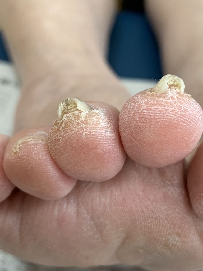 f:id:Assagioli:20190121192418j:plain