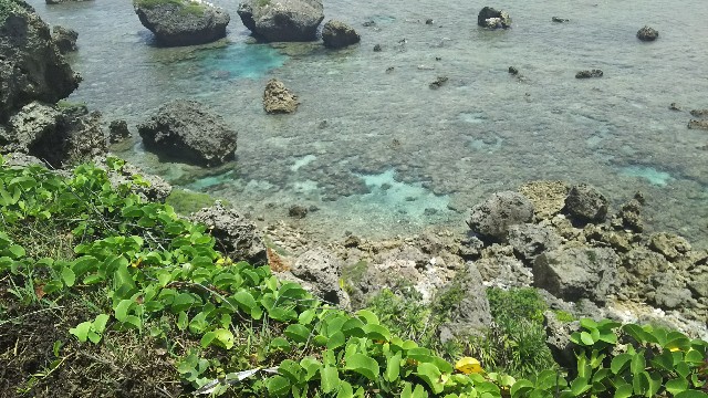 f:id:Assalitore:20180611232907j:image f:id:Assalitore:20180611232907j:image
