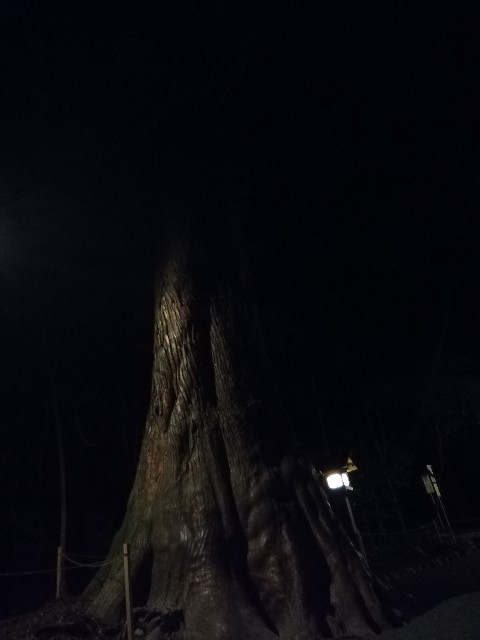 f:id:Assalitore:20181231233044j:image f:id:Assalitore:20181231233044j:image