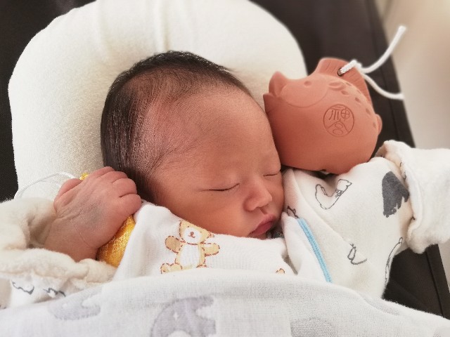 f:id:Assalitore:20190102225559j:image
