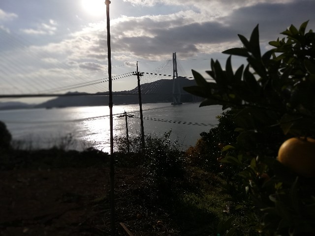 f:id:Assalitore:20190104004119j:image f:id:Assalitore:20190104004119j:image