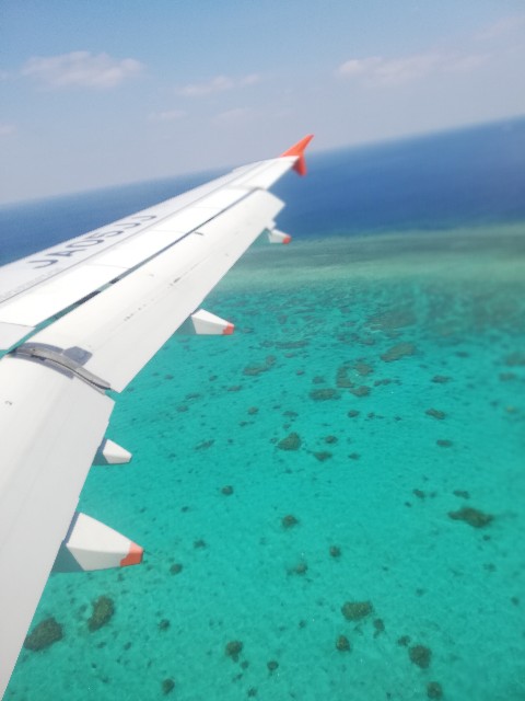 f:id:Assalitore:20190527232933j:image f:id:Assalitore:20190527232933j:image