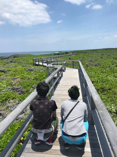 f:id:Assalitore:20190529191226j:image f:id:Assalitore:20190529191226j:image