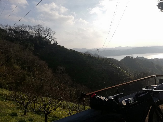 f:id:Assalitore:20200105064700j:image