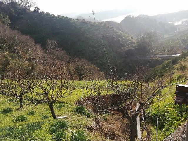 f:id:Assalitore:20200105064724j:image