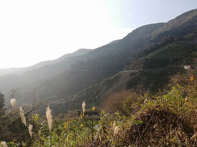f:id:Assalitore:20200105064817j:image