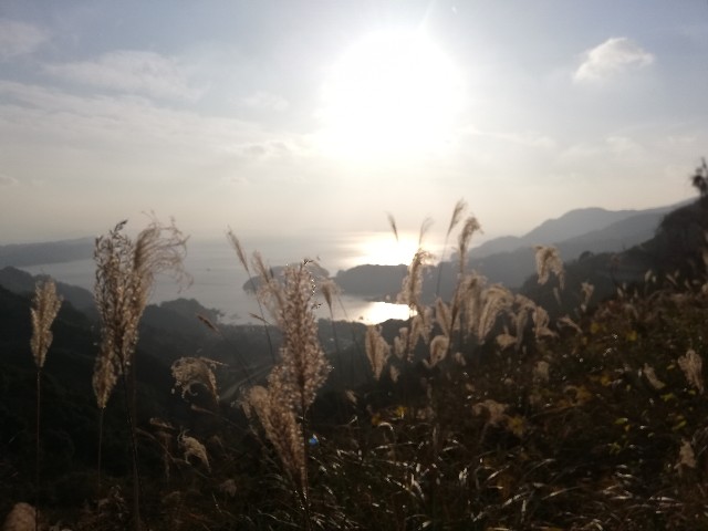 f:id:Assalitore:20200105065401j:image