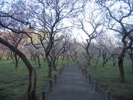 20060318065541