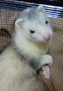 20071215163600