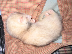 20071215163643
