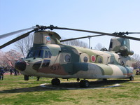 20080406104446