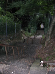 20081008235450