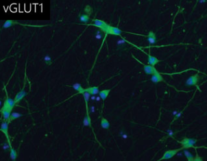 f:id:AssistantOfKoo:20200712002429p:plain