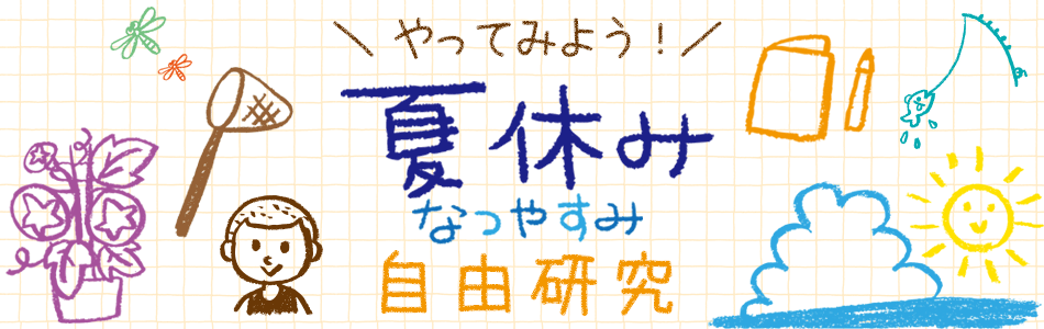 f:id:AssistantOfKoo:20200813125813g:plain f:id:AssistantOfKoo:20200813125813g:plain