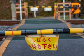 f:id:AssistantOfKoo:20201103121232j:plain f:id:AssistantOfKoo:20201103121232j:plain