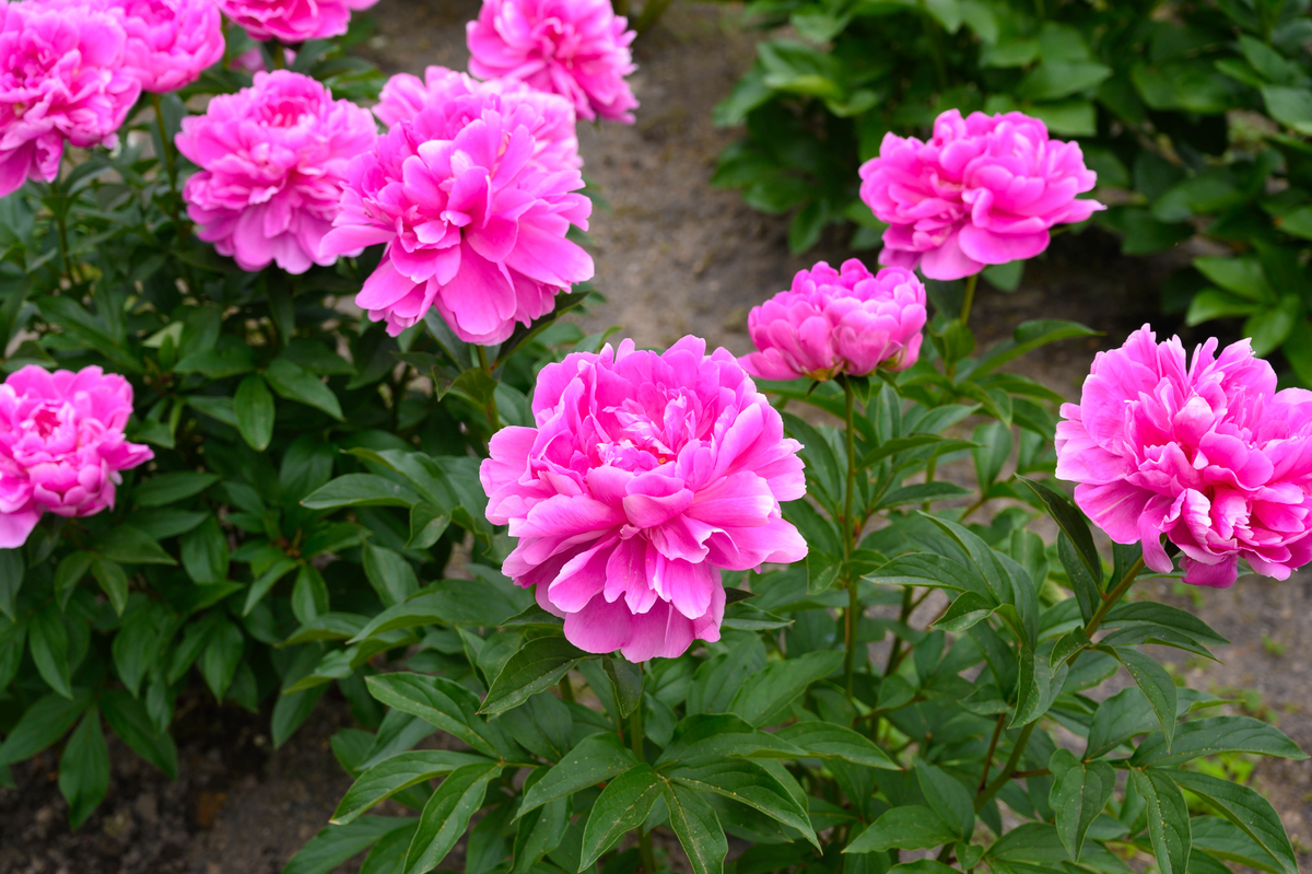 f:id:Astechno:20190607230807j:plain