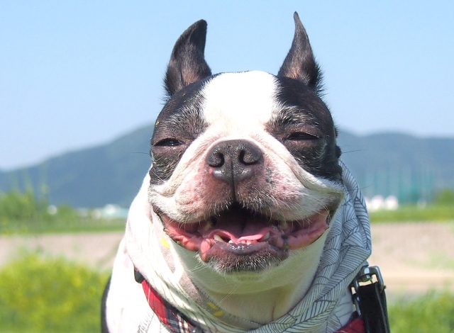 f:id:Asuka63:20180714000213j:plain