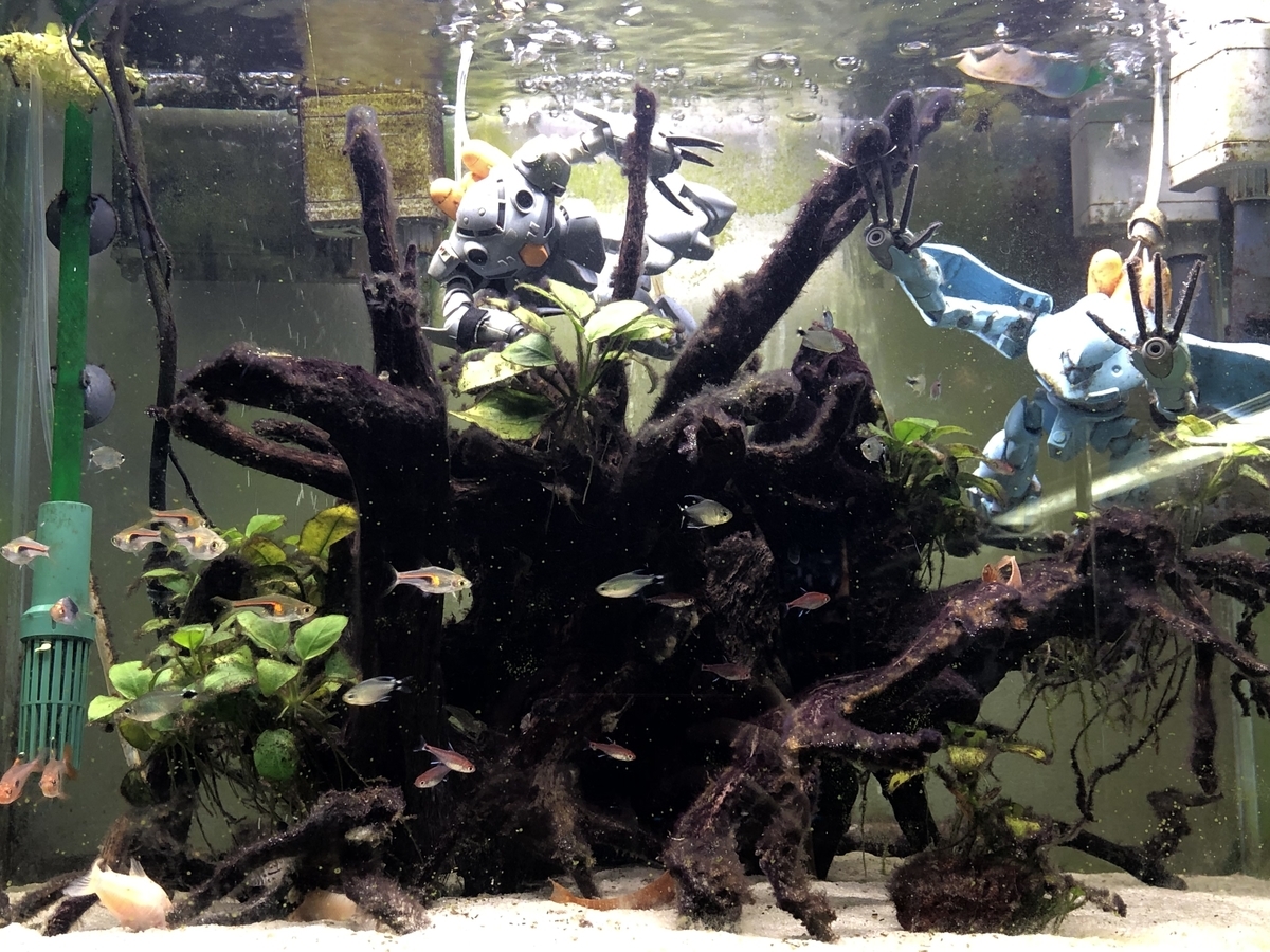 f:id:Asukado-Lisan:20201110212556j:plain f:id:Asukado-Lisan:20201110212556j:plain