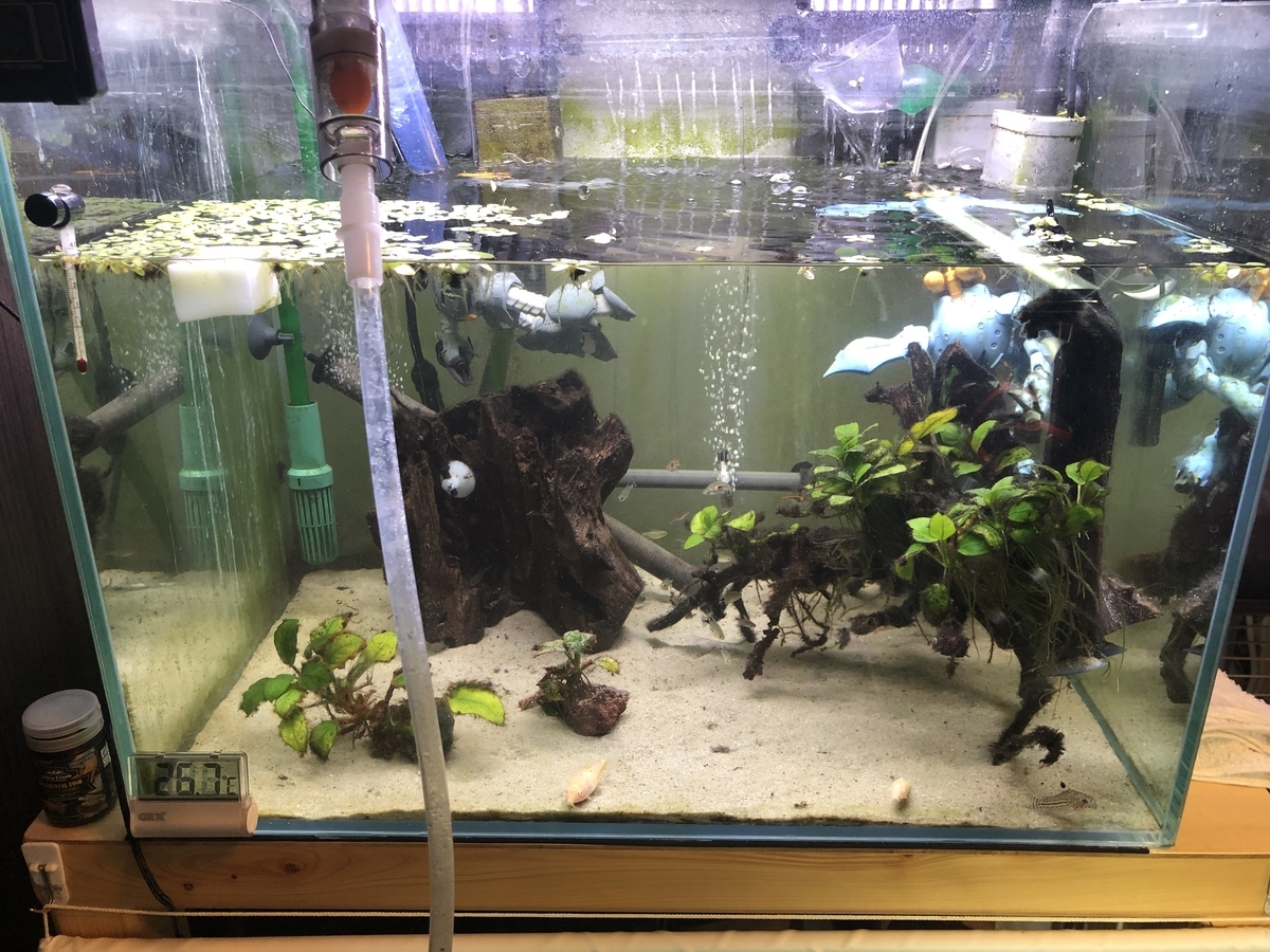 f:id:Asukado-Lisan:20201115225749j:plain f:id:Asukado-Lisan:20201115225749j:plain