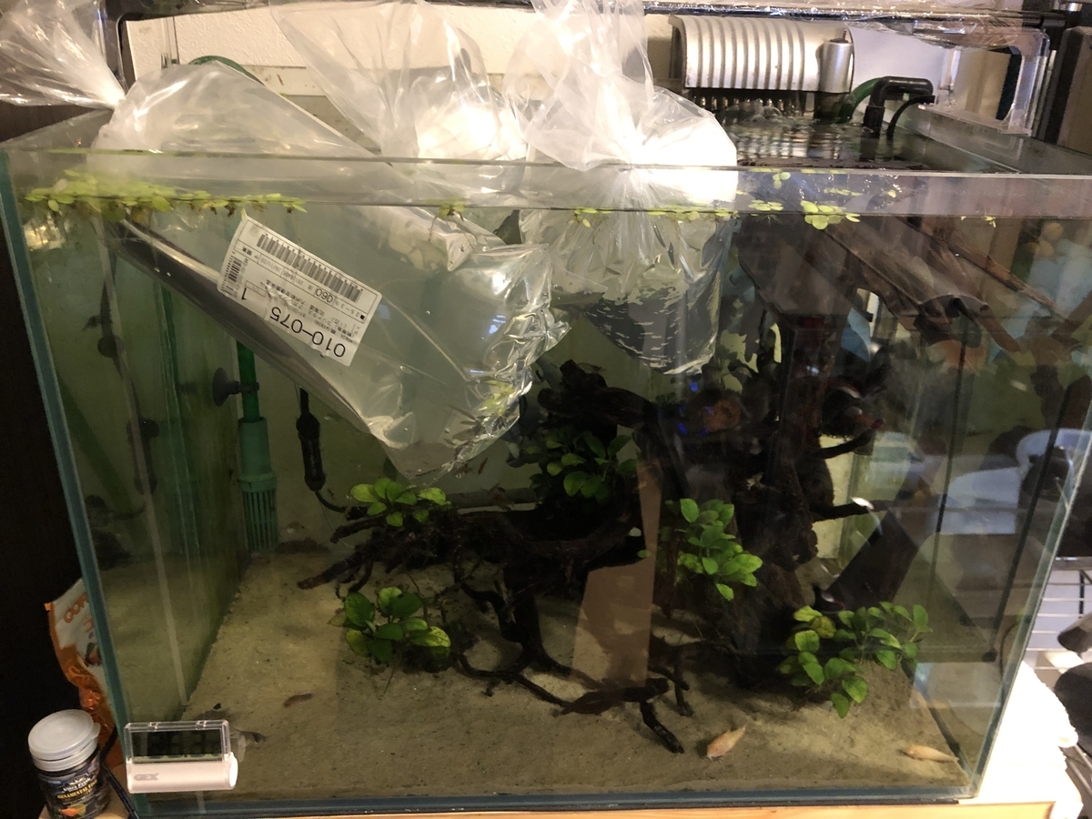 f:id:Asukado-Lisan:20201122135328j:plain