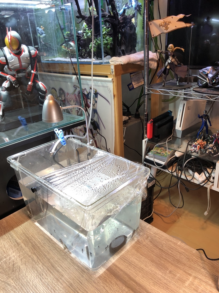 f:id:Asukado-Lisan:20201122135342j:plain