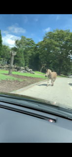 f:id:Aszf5:20190907150028p:plain