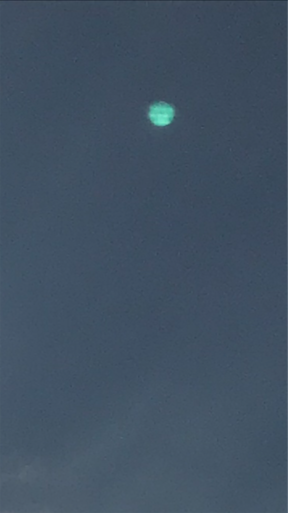 f:id:Atelier-sunflower:20190621213505p:image