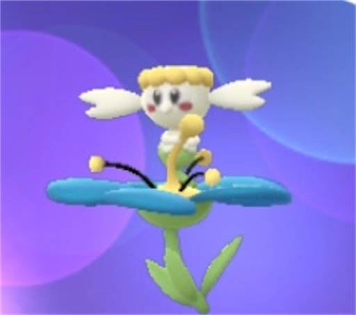 f:id:Atelier-sunflower:20220212210802j:image