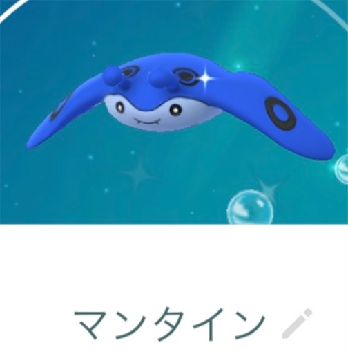 f:id:Atelier-sunflower:20220227173638j:image