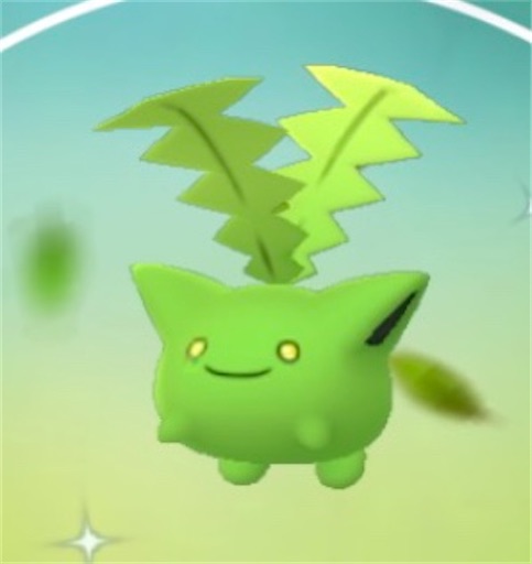 f:id:Atelier-sunflower:20220227173804j:image