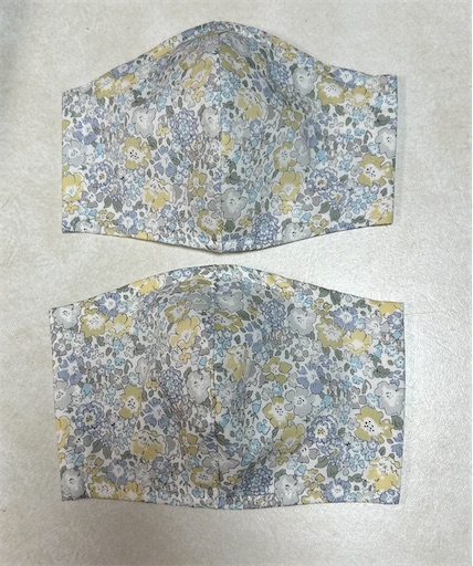 f:id:Atelier-sunflower:20241128212355j:image f:id:Atelier-sunflower:20241128212355j:image