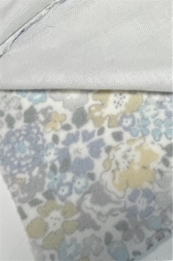 f:id:Atelier-sunflower:20241128212640j:image f:id:Atelier-sunflower:20241128212640j:image