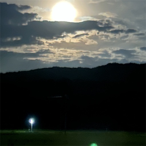 f:id:Atelier-sunflower:20250907224657j:image