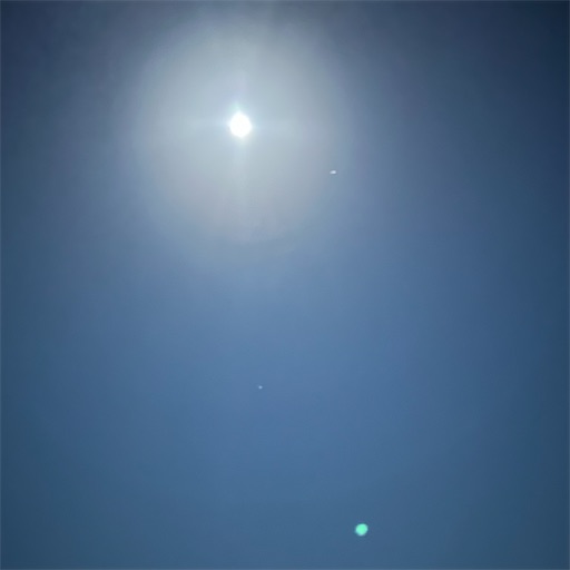 f:id:Atelier-sunflower:20251006222124j:image