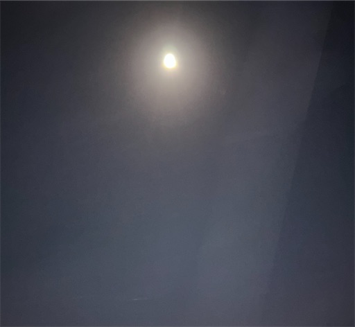 f:id:Atelier-sunflower:20251006222142j:image