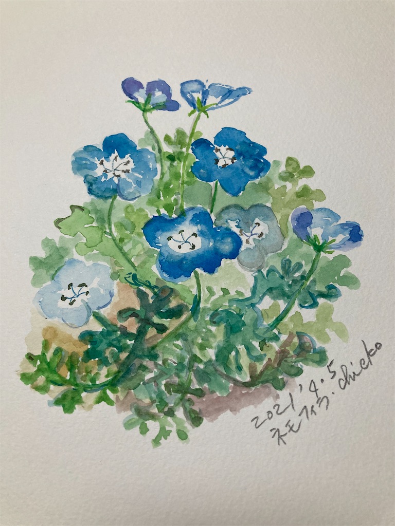 透明水彩画原画「ネモフィラの丘」額縁付4Fサイズ風景画