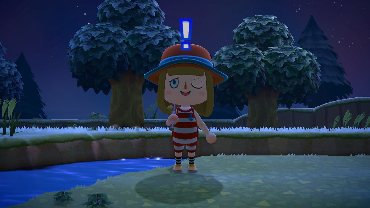 ニンテンドースイッチ あつまれ どうぶつの森の画像
