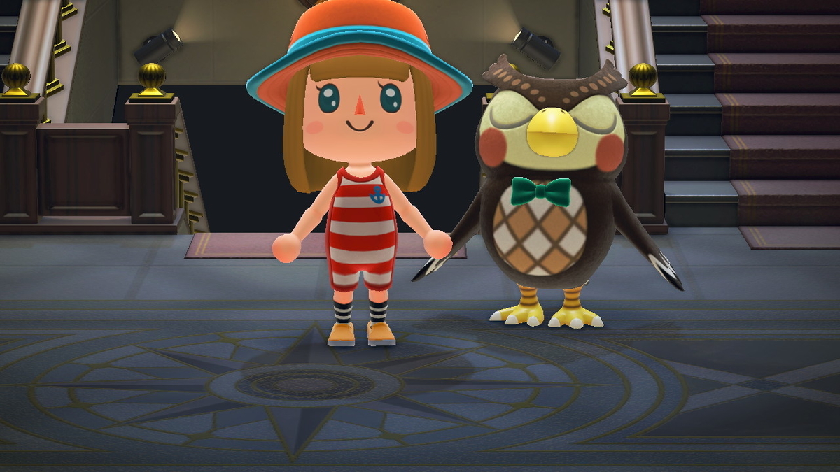 ニンテンドースイッチ あつまれ どうぶつの森の画像