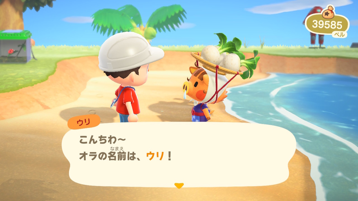 ニンテンドースイッチ あつまれ どうぶつの森の画像