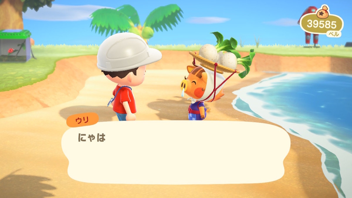 ニンテンドースイッチ あつまれ どうぶつの森の画像