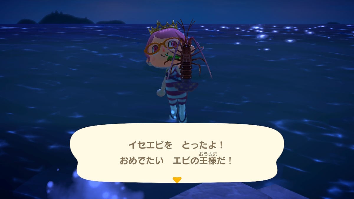 あつまれどうぶつの森 たぬきちの素敵なご案内 いただきました⁉の画像