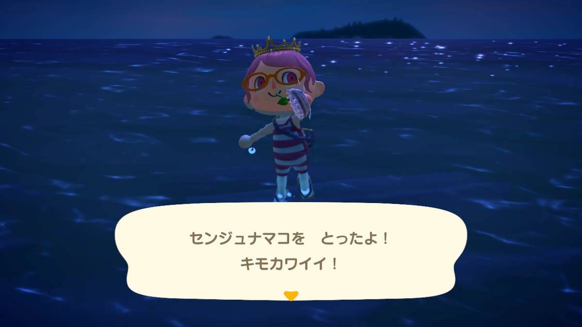 あつまれどうぶつの森 たぬきちの素敵なご案内 いただきました⁉の画像