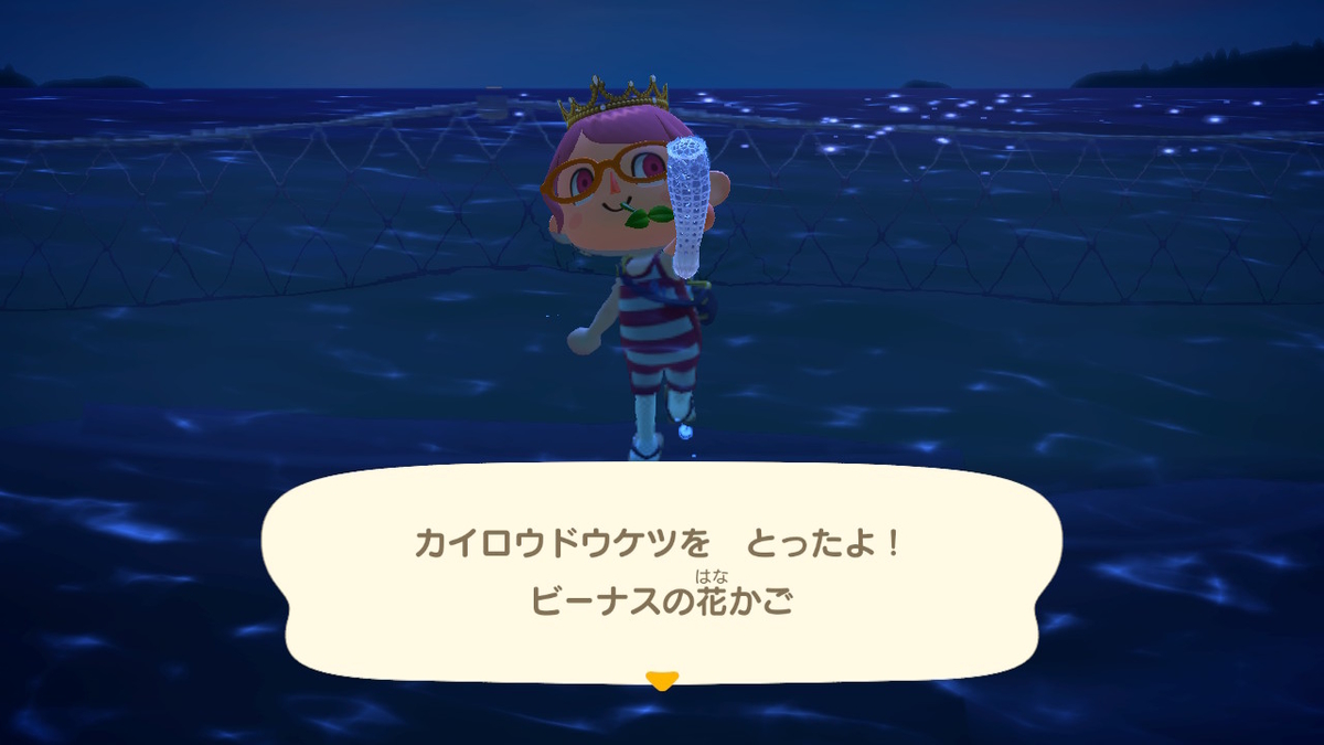 あつまれどうぶつの森 たぬきちの素敵なご案内 いただきました⁉の画像