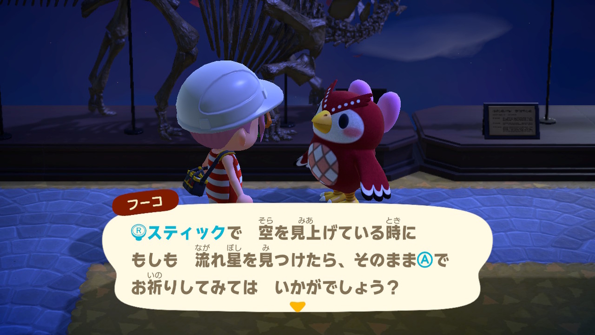 あつまれどうぶつの森 たぬきちの素敵なご案内 いただきました⁉の画像