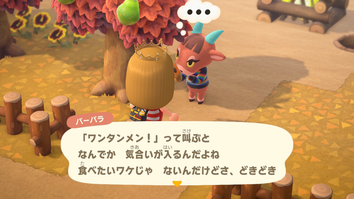 あつまれどうぶつの森 たぬきちの素敵なご案内 いただきました⁉の画像