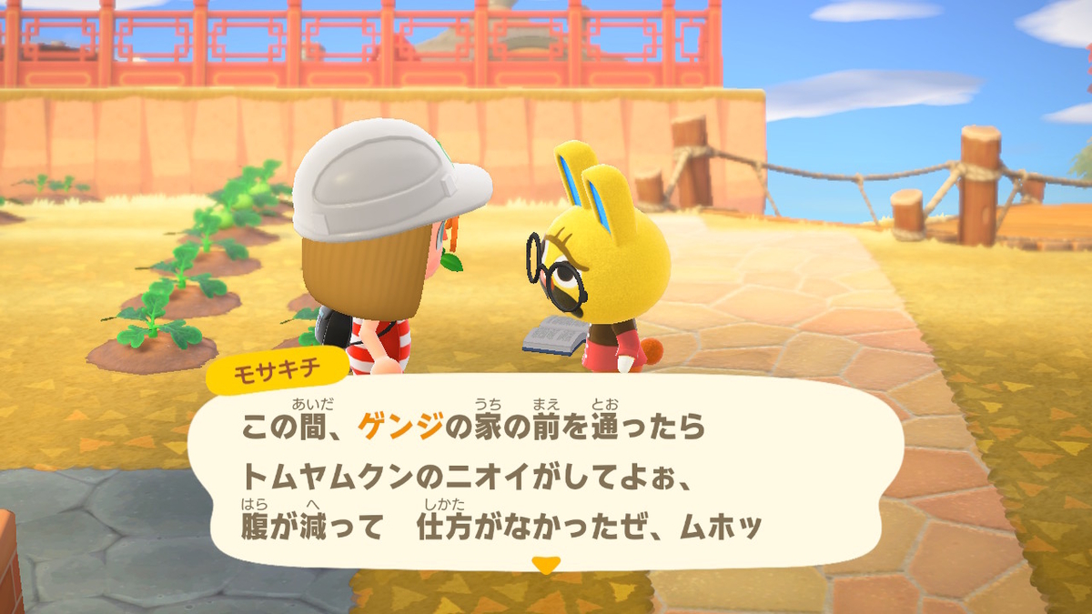 あつまれどうぶつの森 たぬきちの素敵なご案内 いただきました⁉の画像
