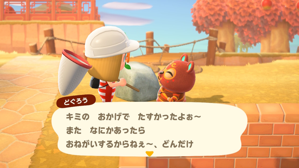 あつまれどうぶつの森 たぬきちの素敵なご案内 いただきました⁉の画像2