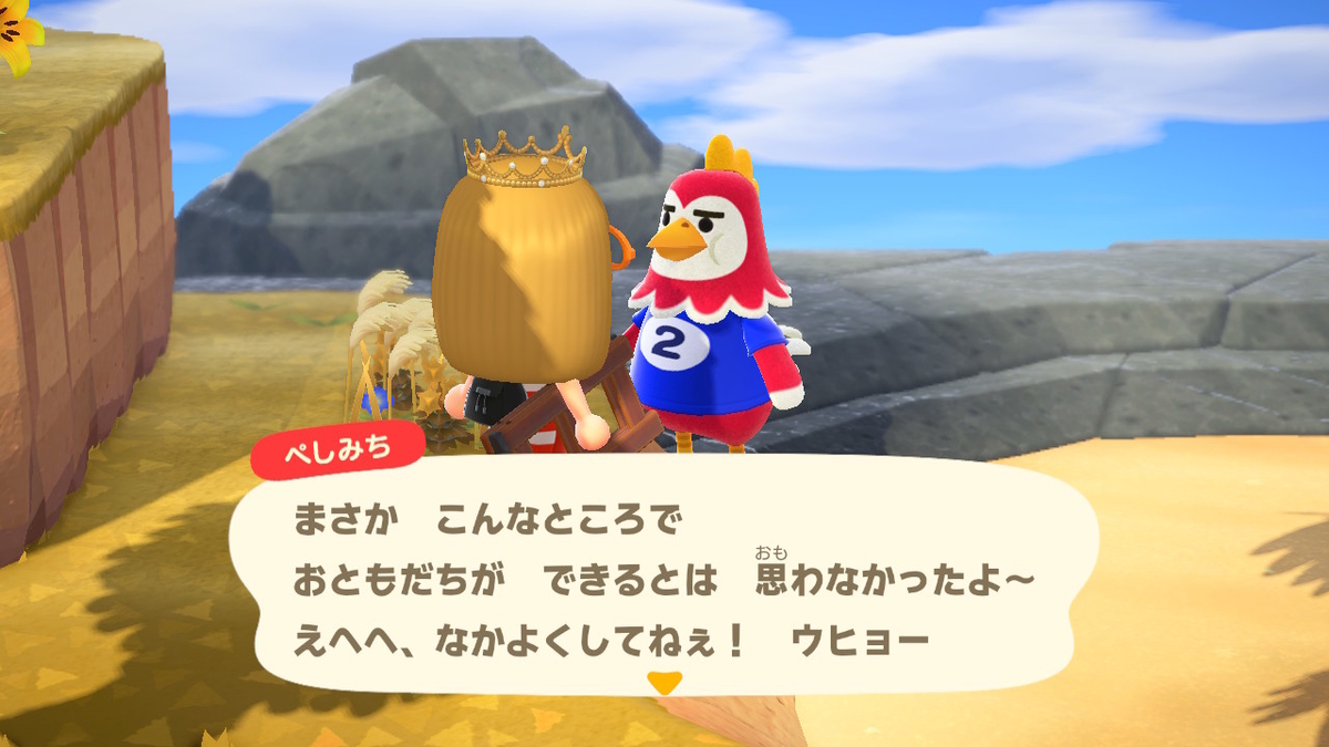 あつまれどうぶつの森 マイル旅行券を使った件で‥その3の画像